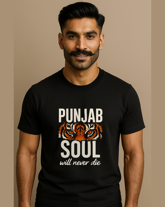 Punjab Soul