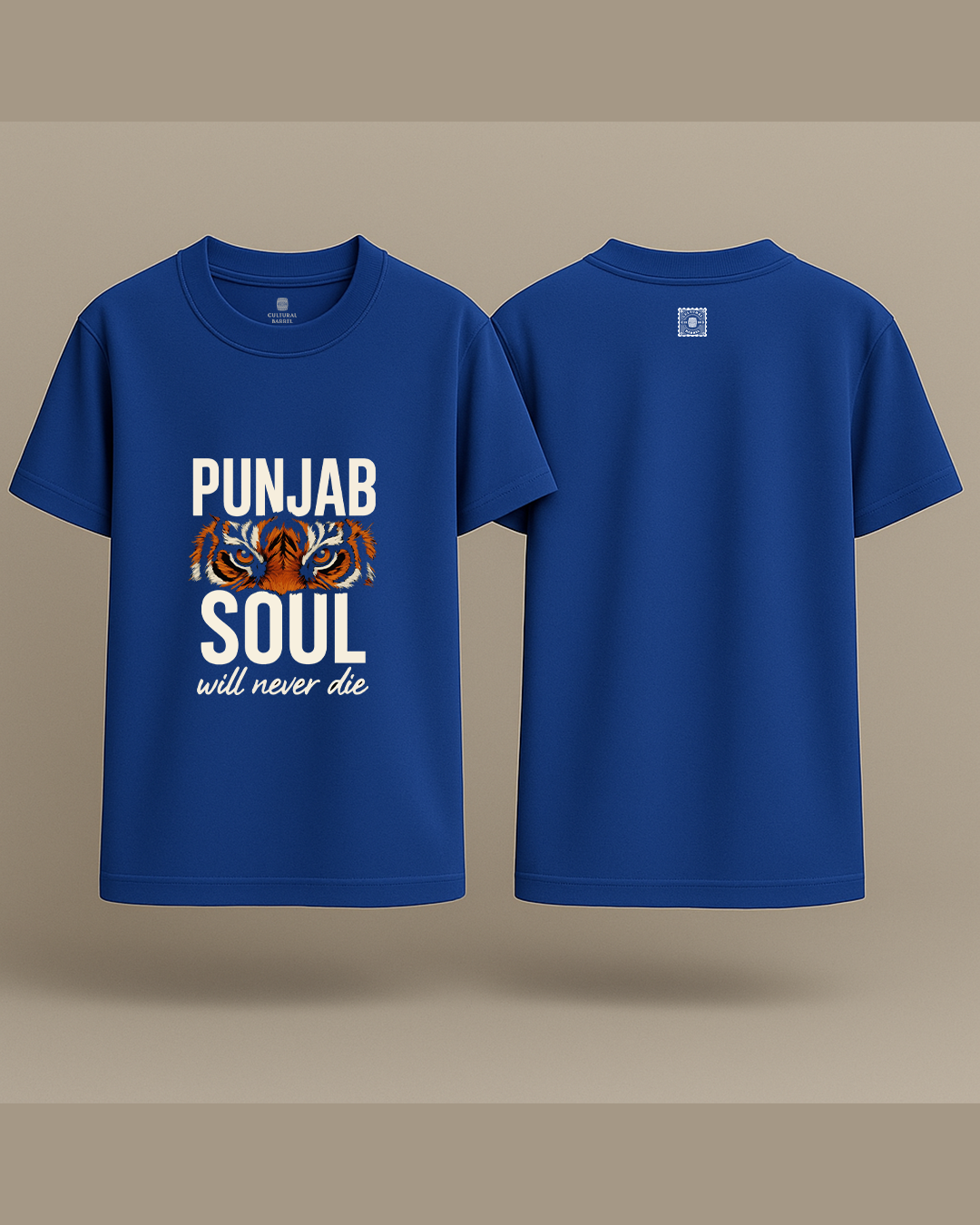Punjab Soul