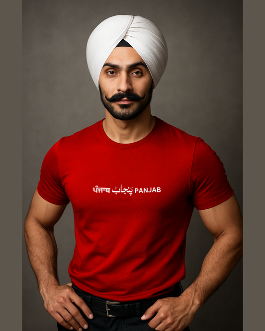 3 language Punjab