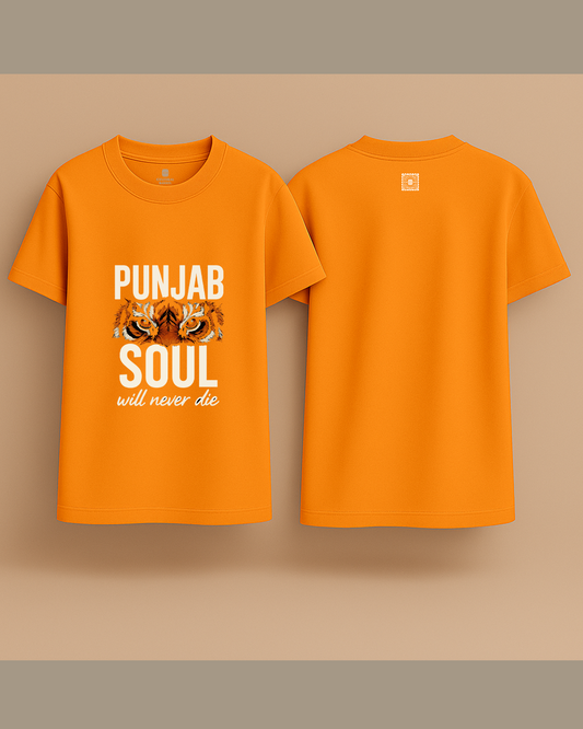 Punjab Soul